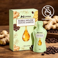 Shampooing Colorant Moussant en Gros pour Cheveux, Nourrissant et Complémentaire pour le Cuir Chevelu, Produit Shampooing Riche en Nutriments
