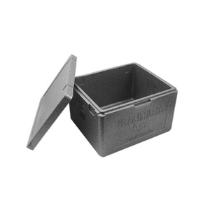 Custom size vacuum insulation camping cold chain insulated foam container food thermo cooler EPP delivery boxes