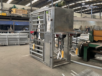 Chute de désodorisation hydraulique entièrement automatique et robuste, galvanisée, pour le traitement des sabots de bovins et ovins / Équipement d'étranglement pour bétail