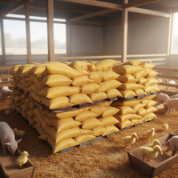 Farine de gluten de maïs 60% protéines pour l'alimentation animale