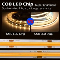 Bande LED flexible extérieure personnalisable, 12V 24V 480 LED, étanche, 5m, COB, adressable