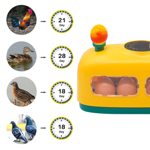 Incubateur d'œufs automatique pour 8 œufs, largement utilisé, petit incubateur mini pour poulets, poulets <span class=keywords><strong>de</strong></span> chair et pigeons - Product Image 2