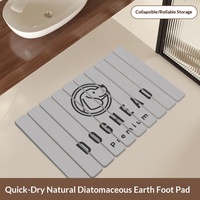 Tapis de sol pliable en terre de diatomée, absorbant, résistant aux taches, séchage rapide, antidérapant, pour toilettes et entrée de salle de bain, design moderne