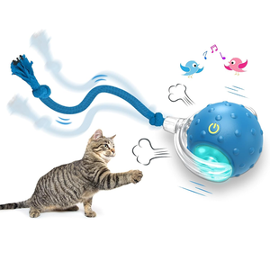 Juguete Interactivo Automático para Mascotas, Pelota Rodante Rápida con Cuerda, Sonido de Pájaros, Juguete para Gatos con Movimiento, Juego Versátil - Product Image 1