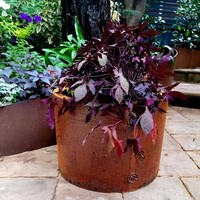 Grandes jardinières surélevées en acier Corten, bacs à plantes, anneaux d'irrigation, pour usage domestique, écologiques, durables, thermolaqués, rouge rouille