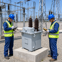 Transformateur de Potentiel Moyenne Tension Monophasé Immergé dans l'Huile 13,8 kV Série JDJ Extérieur à Enroulement en Cuivre Inductif pour Réseau Électrique