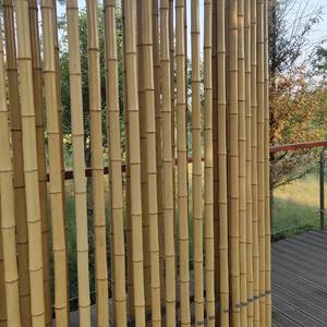 Estacas <span class=keywords><strong>de</strong></span> bambú para construcción, <span class=keywords><strong>postes</strong></span> grandes <span class=keywords><strong>de</strong></span> bambú para construcción, <span class=keywords><strong>baratos</strong></span>, venta al por mayor - Product Image 4