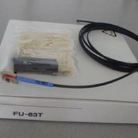 CU-21TA Componente de Control de Sensor para Automatización Industrial, Unidad Controladora Principal, Aplicación de Control y Detección en Automatización Industrial
