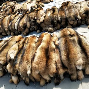 Animal fur pelts real Raccoon dog fur skins high quality Chinese raccoon skin fur