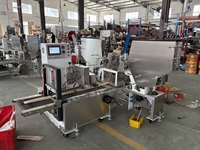 Machine d'emballage horizontale automatique pour brochettes de bambou, vente directe d'usine