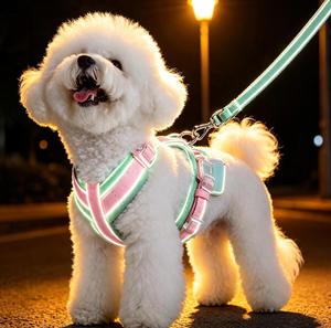 Reflective Striped Nylon Dog <b>Harness</b> with Leash Set for Small Dogs Cute Padded Vest Style Buckle Closure Colorful Design - Product Image 1