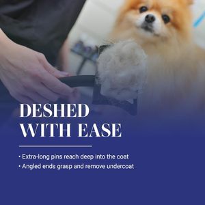 Brosse professionnelle pour chien grand <span class=keywords><strong>noir</strong></span> économise de l'énergie pour le toilettage Goldendoodles Labradoodles - Product Image 3