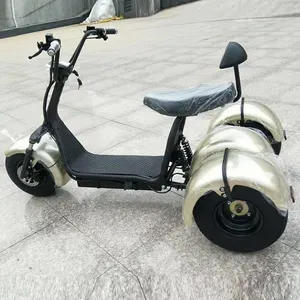 Giá rẻ Giá bán buôn off road 3 bánh xe điện Trike người lớn Điện 2000W Pin Lithium 12Ah 20Ah điện Scooter ba bánh