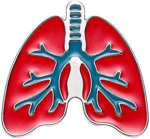 Pins Médicos Personalizados, Regalo para Médicos, Pins de Solapa con Forma de Riñón, Corazón, Pulmones, Cerebro, Insignia Personalizada de Navidad, Impresión Digital Promocional, Chapado - Product Image 1