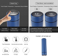 Botellas de Agua Inteligentes Deportivas con Aislamiento al Vacío, de Acero Inoxidable 304, de 500 ml, con Pantalla Táctil LED, Personalizadas al por Mayor por el Fabricante