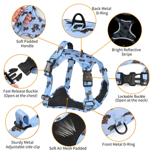 Conjunto de Arnés, <span class=keywords><strong>Collar</strong></span> y Correa de Lujo para Perro de Diseño con Estampado Floral SinSky, Ajustable, Antitirones y Personalizado con Asa - Product Image 2