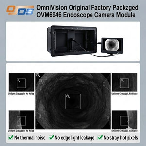 Module de caméra endoscopique microscopique, caméra médicale Ovm6946, étanche, ISO 13485, 1 mm, USB COMS, application médicale et vétérinaire double - Product Image 2