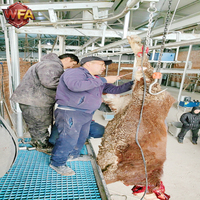 Équipement de traitement du bétail halal avec moteur et pompe intégrés, conception clé en main pour l'industrie de la viande, système ferroviaire