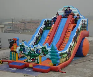 中国巨大的充气水滑梯出租，充气跳跃滑滑梯与游泳池