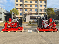Pompe à incendie centrifuge à moteur diesel EDJ d'usine, 250, 500, 750, 1000 GPM, avec moteur diesel et moteur