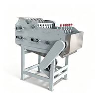 Machine à casser les noix de macadamia commerciale en acier inoxydable, machine à décortiquer les noix de cajou