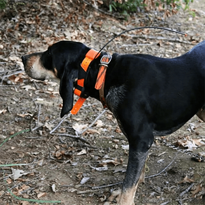 Antenne GPS de remplacement 151 MHz TT15 pour collier de suivi Garmin, orange et noir, antenne GPS pour collier de suivi de chien - Product Image 3