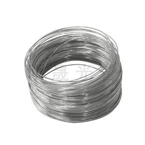 MSGP R05252 Fil de Tantalum Haute Pureté Ta <span class=keywords><strong>97</strong></span>% Min ASTM B365 Diamètre Personnalisé 0,05mm-30mm 1kg Lustre Métallique Argenté - Product Image 1