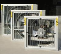 Elektrischer Abluftventilator OEM/ODM für Pakistan Milchviehbetriebe/Geflügelzucht 50 Zoll Edelstahlflügel IP55 Motorschutz 1,1KW