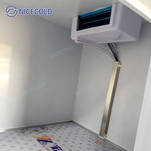 Triciclo Elettrico Refrigerato Personalizzato 2025 per Consegna di Alimenti Surgelati nei Supermercati, Veicolo per Catena del Freddo - Product Image 6