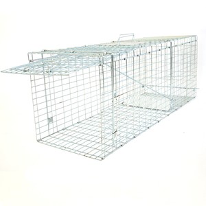 Good Quality Human Wire Mesh Animal Cage <strong>Trap</strong> Hunting <strong>Collapsible</strong> Live Wild Animal <strong>Trap</strong> for <strong>Squirrel</strong> Rabbit Raccoon Cat Dog - Product Image 2