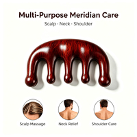 Peigne de massage multi-professionnel en bois de santal pour méridiens, masseur facial en bois personnalisé avec logo pour la maison, emballage sur mesure