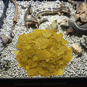 Flocons de nourriture pour poissons riches en protéines et en légumes de haute qualité de Chine, pour la santé de la peau des reptiles, toutes les étapes de vie, 3 ans - Product Image 4