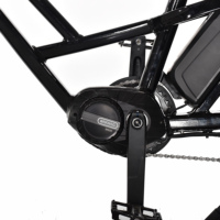 Sepeda Listrik Bafang 500w Mid Motor, Sepeda Kargo Jarak Jauh dengan Inter 8 Speed Derailleur, Cargo Ebike