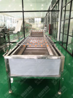Automatische Groentewasmachine Commerciële Groente-En Fruitwasmachine Grote Groentewasmachine