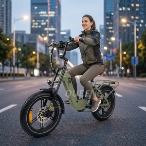 Bicicleta Eléctrica Todoterreno con Llantas Gruesas de 20 Pulgadas, Motor sin Escobillas de 48V 250-1000W, 7 Velocidades, Doble Suspensión - Product Image 4