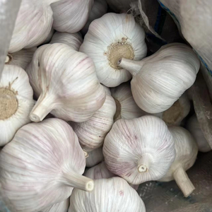 Chất lượng cao Trung Quốc tươi bóc vỏ tỏi Đinh Hương đáng tin cậy xuất khẩu ajo morado alho descascado hoàn hảo cho tỏi bánh mì - Product Image 1