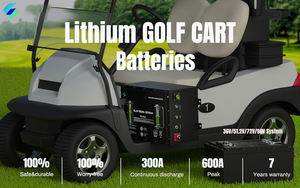 カスタマイズされたリチウムイオン105ahlifepo4バッテリーパック48v72vゴルフカートリチウムゴルフカートバッテリーと充電器 - Product Image 3