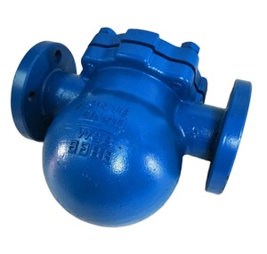 Conexión con Brida DN25 a DN50 PN16, Trampas de Bola Roscadas FT14X-10 y FTGS14 SPIRAX SARCO, Medidor de Flujo E+H - Product Image 2