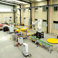 Sistema de Línea de Embalaje de Palés Totalmente Automático, Dispensador de Palés, Robot Paletizador y Equipo de Envoltura