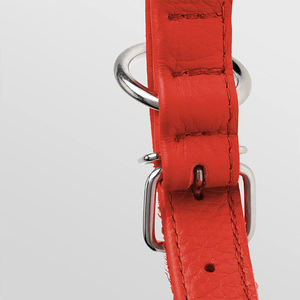 Collar Qbellpet de Cuero Suave y Redondeado, Collar de Cuero de Lujo Hecho a Mano, Collar de Cuero Genuino para Perros Pequeños, Medianos y Grandes - Product Image 4