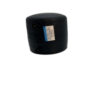 HDPE Electrofusion Fabricant tuyau en plastique hdpe Embout dn63mm