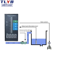 Contrôleur de niveau à immersion dans l'eau de type réservoir pour mesure de niveau avec alarme sortie 4-20ma capteur de niveau analogique rs485 0-5v
