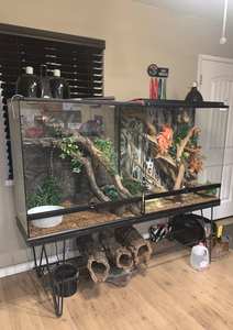 Serpent Enceinte Pvc 4 pi Reptile 200 Gallon 90x30x50 réservoir Humidificateur d'angle Taille personnalisée Lézard Incassable <span class=keywords><strong>Paludarium</strong></span> Terrarium - Product Image 3