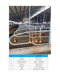 Nuevas Soluciones Eficientes para la Gestión de Ganado con Certificación CE, Establos para Ganado Lechero, Corrales Galvanizados para Vacas - Product Image 5
