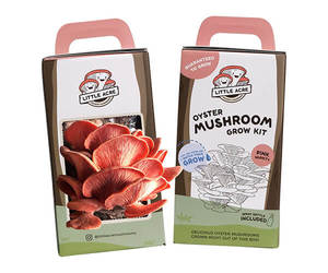 High Quality Cardboard <strong>Mushroom</strong> Fresh <strong>Mushroom</strong> Box <strong>Growing</strong> <strong>Kit</strong> Box with Handle Pulp Recyacle Packaging Box for <strong>Mushroom</strong> <strong>Growing</strong> - Product Image 3