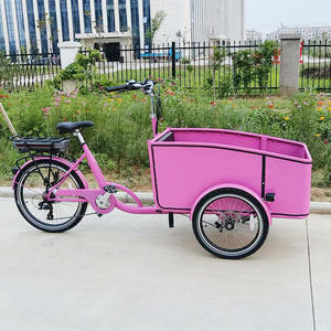 Vélo cargo électrique pour le <span class=keywords><strong>transport</strong></span> de chiens de famille adulte, siège avant, grande capacité, cadre en acier, 36V 250W, vélo électrique à assistance au pédalage - Product Image 3