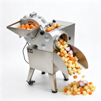 Machine à découper les fruits et légumes en 3D, SUS304, 220V/380V en option, coupe-patates, carottes, pommes, oignons en cubes