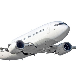 Envío Aéreo FBA DDP, Los 10 Mejores Transitarios de China a Estados Unidos, Entrega Puerta a Puerta, Doble Despacho de Aduanas, Impuestos Incluidos, Económico, 7-15 Días - Product Image 2