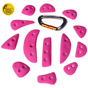 Matériaux de haute qualité en gros, tels que des prises d'escalade lumineuses et en fibre de verre pour adultes, Speed Earth Tones - Product Image 3