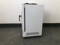 Four de séchage vertical électrique certifié CE, à haute efficacité énergétique et respectueux de l'environnement